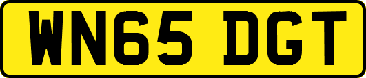 WN65DGT