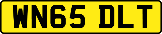WN65DLT