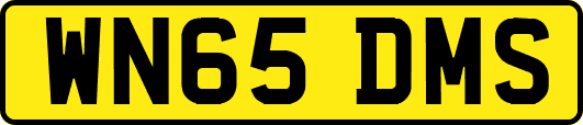 WN65DMS