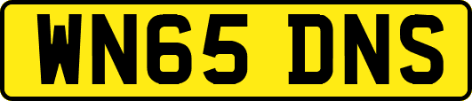 WN65DNS