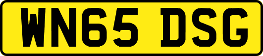 WN65DSG