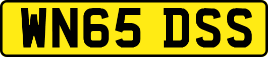 WN65DSS