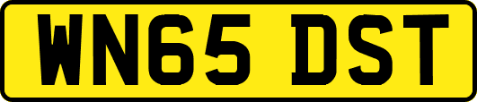 WN65DST