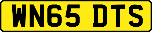 WN65DTS