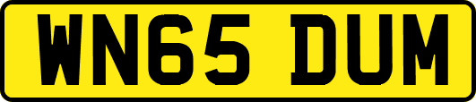 WN65DUM