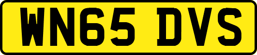 WN65DVS