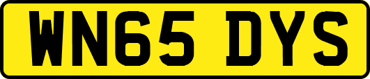 WN65DYS