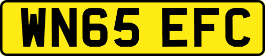 WN65EFC