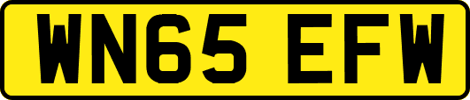 WN65EFW
