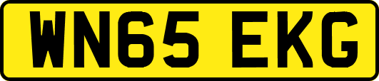 WN65EKG