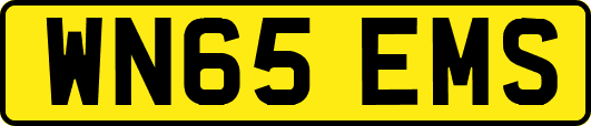 WN65EMS