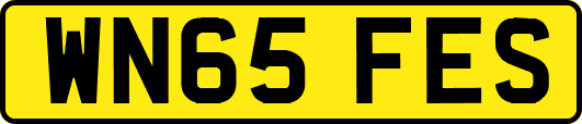 WN65FES