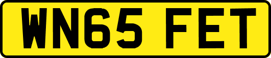WN65FET