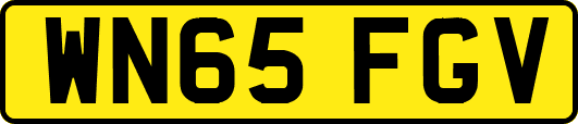 WN65FGV