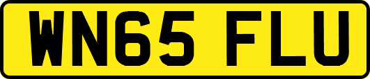 WN65FLU