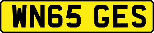 WN65GES