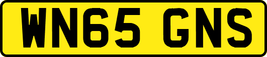 WN65GNS