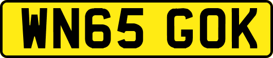 WN65GOK