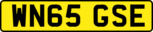 WN65GSE