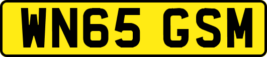 WN65GSM