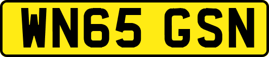WN65GSN
