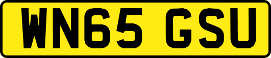 WN65GSU