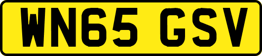 WN65GSV
