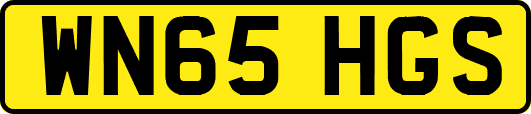 WN65HGS