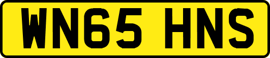 WN65HNS