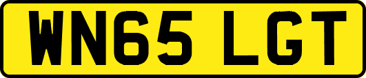 WN65LGT