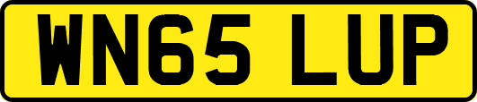 WN65LUP