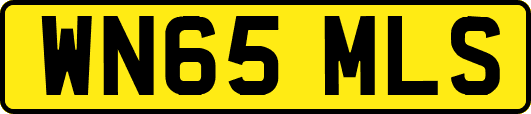 WN65MLS