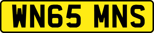 WN65MNS