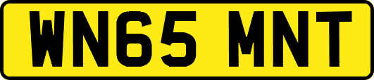 WN65MNT
