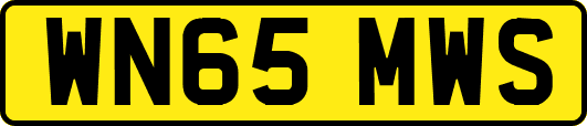 WN65MWS