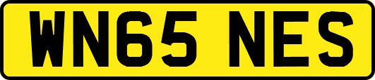 WN65NES