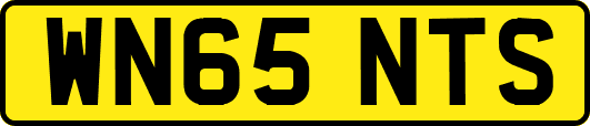 WN65NTS