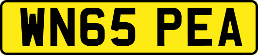 WN65PEA