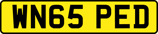 WN65PED
