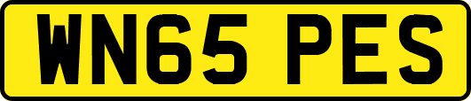 WN65PES