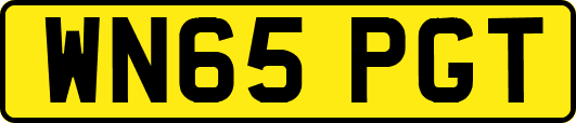 WN65PGT