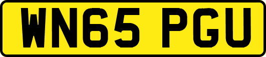 WN65PGU