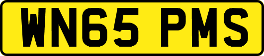 WN65PMS