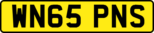 WN65PNS