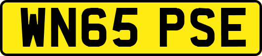 WN65PSE