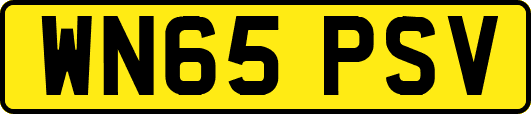 WN65PSV