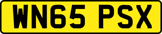 WN65PSX