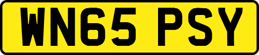 WN65PSY
