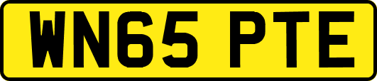 WN65PTE