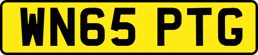 WN65PTG
